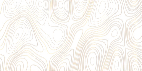 Vector white wave line geography landscape Topo contour map on white background. Geographic mountain relief diagram line wave carve pattern. Topographic world map contour lines backdrop. © Karishma