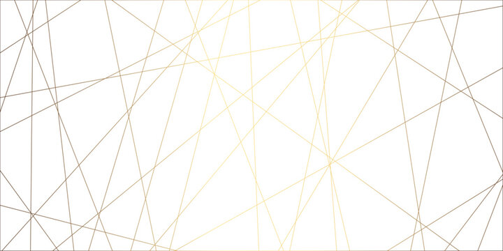 Abstract line background. abstract black lines with white background creative and geometric shape with white luxury pattern and paper texture and geometric shape with white luxury style.