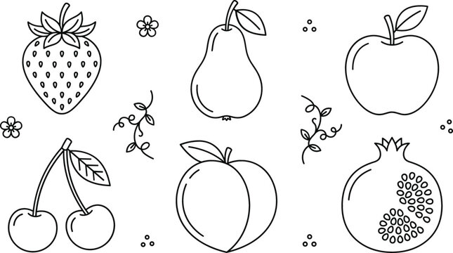 Fresh garden fruits line icon vector set featuring strawberry pear apple cherry peach and sliced pomegranate design elements