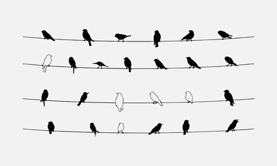 llustration of group of birds sitting on wires on white background line art and silhouette icon. © CHAPOLCHANDRO