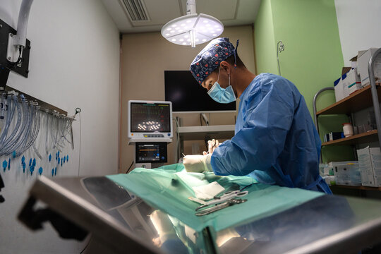 Veterinarian performing surgery in operating room