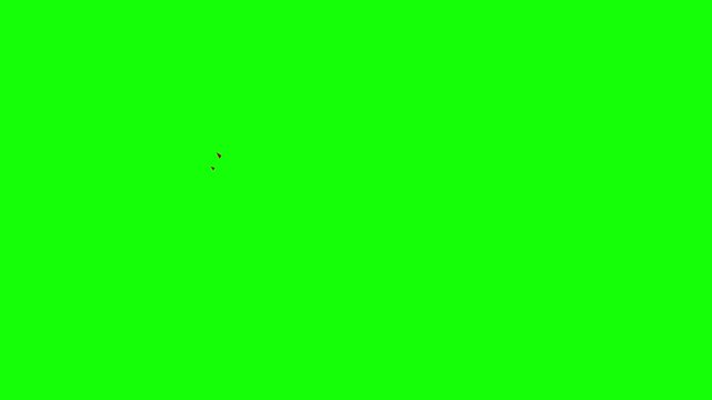 Black friday promotional motion graphic animation featuring bold text and dynamic shopping elements for seasonal retail marketing video campaign