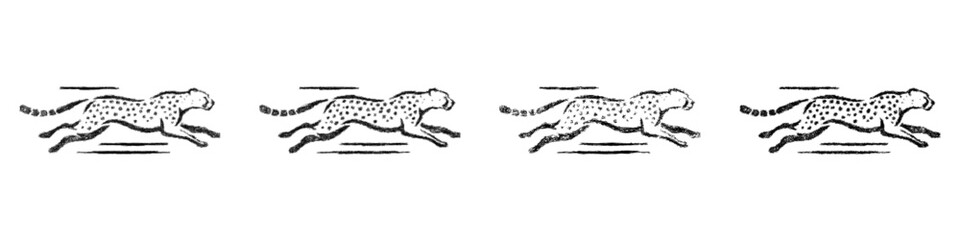 Black and white sketch cheetah logo design set © David Zydd