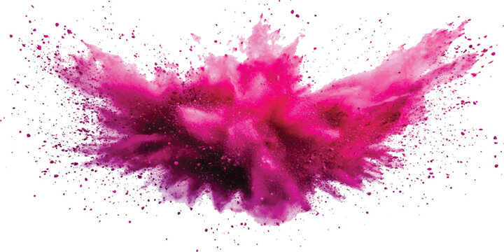 Vibrant pink powder explosion holi color dust burst isolated on white background vector illustration.