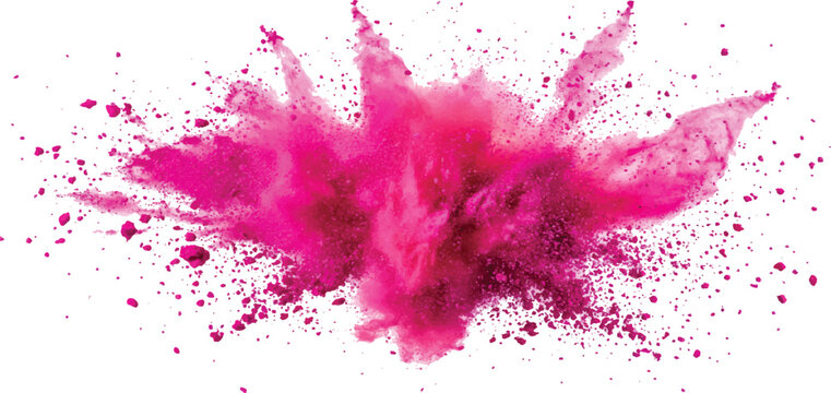 Vibrant pink powder explosion holi color dust burst isolated on white background vector illustration.