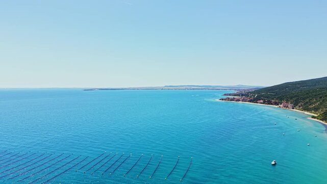 Rows of mussels are seen in the sea near a coastline. Boats float on the water while the sky is clear and sunny. The area shows a mix of land and sea in the background.