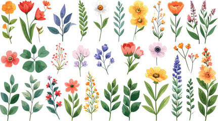 Watercolor garden wildflower and botanical leaf clip art set featuring colorful spring blossoms field herbs and floral branches for elegant greeting card designs © Himel