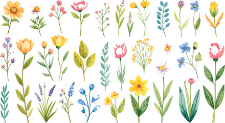 Watercolor wildflower and botanical leaf element vector set featuring colorful garden blossoms field herbs and spring floral illustrations for elegant greeting designs © Himel