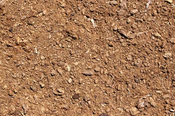 Fertile organic soil texture brown ground surface background for gardening agriculture concept © agrus