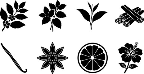 Herbs spices and hot drink ingredients black silhouette icons set featuring coffee tea mint and cinnamon © Bulbuli