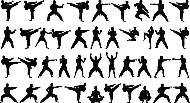 Martial Arts Fighter Silhouette Vector Icon Set with Karate, Taekwondo, Kung Fu, Kickboxing, Boxing, and Mixed Martial Arts Combat Poses for Sports Graphics