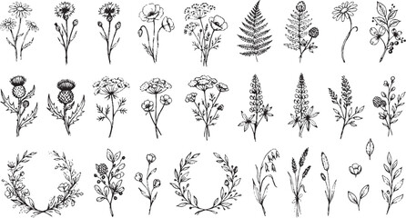 Fototapeta premium Hand drawn botanical set of wildflowers herbs ferns and decorative wreaths in black ink style isolated on white for wedding stationery and natural branding
