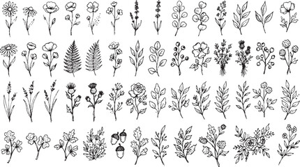 Assorted hand drawn wildflowers foliage and herbal sketches featuring rose buds and fern leaves for natural organic wedding stationery and graphic design asset packs © HexaFrame