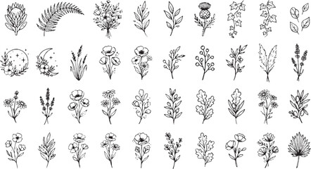 Fototapeta premium Elegant botanical illustration pack featuring diverse flower arrangements and decorative ivy sprigs in a sophisticated hand-drawn ink style for modern creative design projects