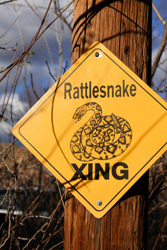 Rattlesnake Crossing Sign in the Southwest