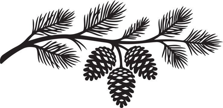 Pine tree branch with three pine cones, black silhouette on transparent background.