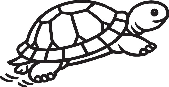 Turtle illustration black and white line drawing on a white background