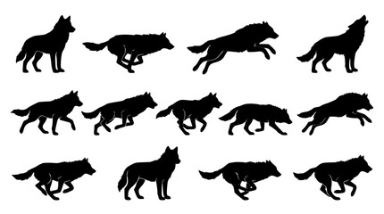 Obraz premium Running and howling wolf black silhouette icons set with wild predator animal action poses isolated on white background vector