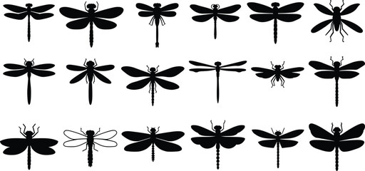 Fifteen Black Dragonfly Silhouettes in Different Poses and Styles on White Background insect wings © QueenMomtaz 