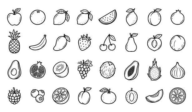 Hand Drawn Doodle Fruit Icons Black and White Vector Set