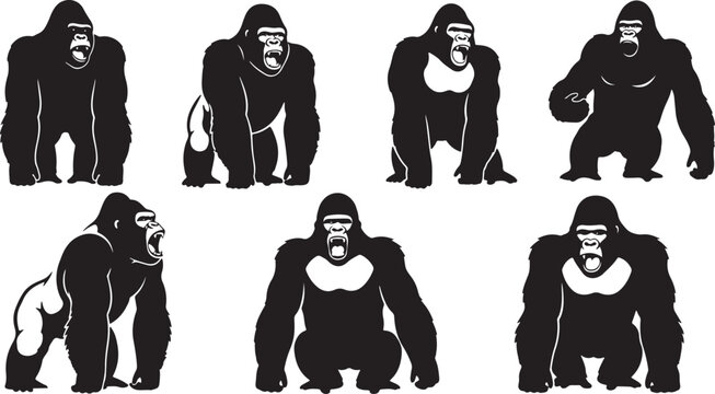 Set of powerful gorilla ape silhouettes high quality vector silhouette illustration for logo design.