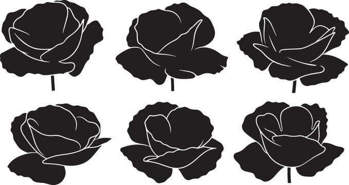 Set of six roses high quality vector silhouette illustration design element editable vector.