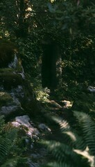 Obraz premium Ancient doorway discovery reveals a serene forest path steeped in mystery and timeless wonder