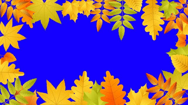 Cozy 2D cartoon frame border made of falling colorful autumn leaves and golden foliage on a chroma key green screen background. Perfect for autumn vlogs, thanksgiving projects, seasonal nature stories