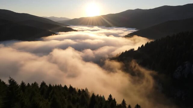 Aerial view of a mountain valley filled with thick rolling fog during sunrise. Golden sunbeams pierce through the mist above a coniferous pine forest in the foreground.