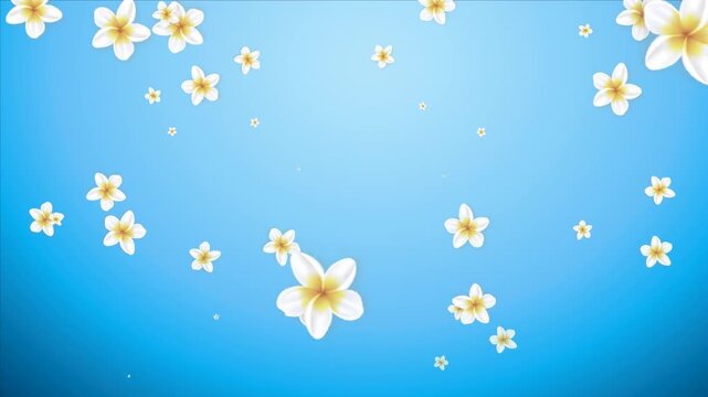 A dynamic motion background featuring graceful white flowers and delicate petals flying through the air against a vibrant blue and light blue gradient backdrop. This high-quality animation creates a f