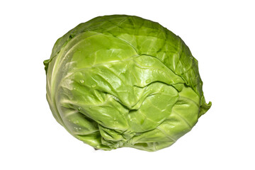Obraz premium Fresh green cabbage head with water droplets, organic vegetable nutrition