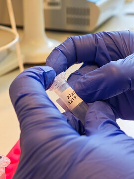 Laboratory technician verifying identification label on microcentrifuge tube before DNA extraction and food sample analysis