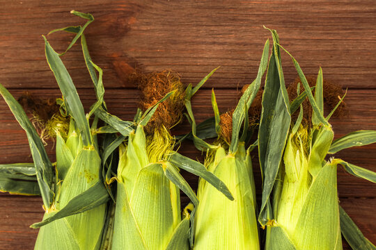Fresh corn on the cob placed on a wooden surface with green husks and brown silk visible
