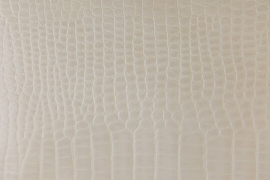 crocodile leather texture background showing a white surface with a pattern resembling reptile skin creating an interesting visual appeal