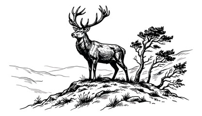 Vintage deer engraving, majestic stag with antlers on mountain peak, hand drawn wildlife vector illustration, rustic forest animal sketch © sajida