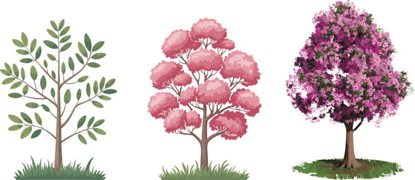 Vector illustration set of spring and summer trees featuring green foliage, pink cherry blossoms, and purple jacaranda flowers isolated on white background