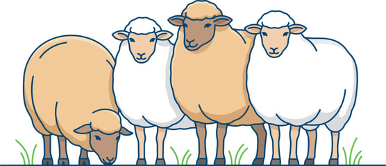 Flock of Cute Sheep Vector Illustration Set Featuring Domestic Lambs standing and Grazing on Grass Isolated on White Background for Farm Agriculture Designs © MstMuktha