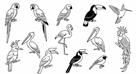 Various exotic birds on branches © Kamola