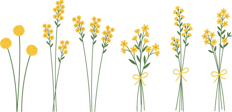 Yellow Wildflower Bouquet and Stem Vector Illustration Set Featuring Delicate Buttercups Craspedia Billy Balls and Tied Floral Bunches Isolated on White Background
