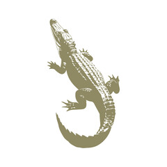 Free Icon Vector, Free Crocodile Black And White Vector, Free Crocodile Victor-1 © TAYYEB SALAM