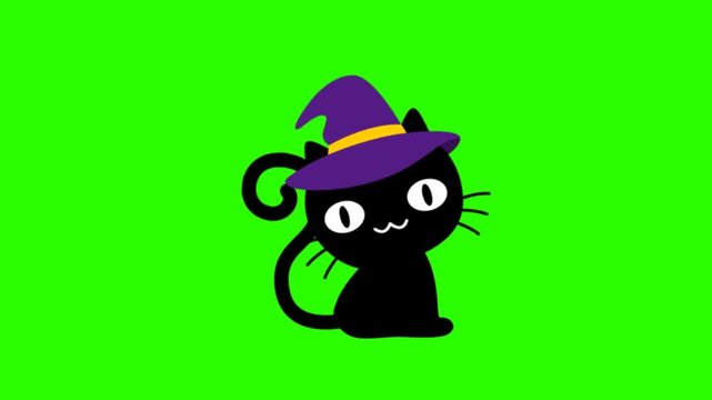 Cute 2D cartoon black cat character wearing a brown hat and glowing with stars and moons transition video on a chroma key green screen background. Ideal for magic-themed videos, kids' content, Hallowe
