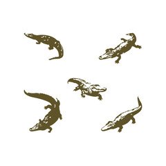 Free Icon Vector, Free Crocodile Black And White Vector, Free Crocodile Victor-3 © TAYYEB SALAM