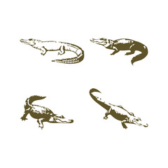Free Icon Vector, Free Crocodile Black And White Vector, Free Crocodile Victor-5 © TAYYEB SALAM