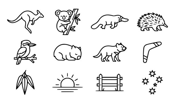 Australian Wildlife Outline Icon Collection with Kangaroo Koala Fox Hedgehog Pelican Wombat and Nature Elements