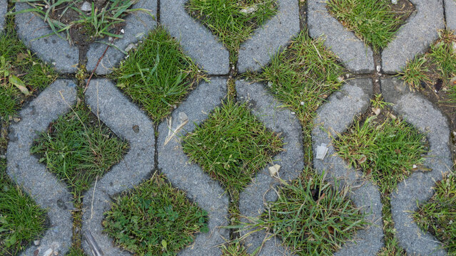 Top-down view of gray concrete paving grid with geometric diamond-shaped holes filled with green grass and clover, outdoor ground texture