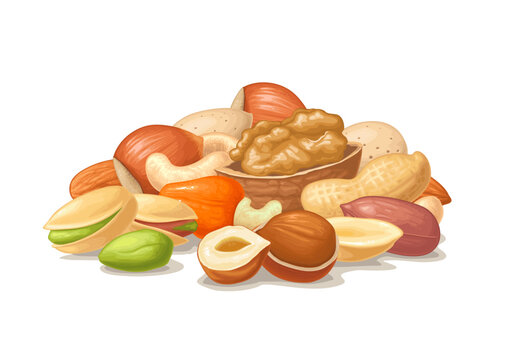 Stack with whole and half nut seed hazelnut, peanut, almond, cashew, pistachio, walnut. Vector color realistic illustration. Isolated on white. Hand drawn design element for label, web