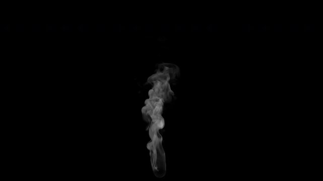 Ideal for fx shots, overlays background foregrounds clouds explosion fire stream flood flow light mystique natural scary smoke swirling fade transition smoke locomotive train afterburn mist jet galler