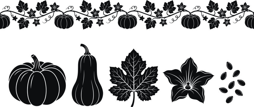 Black pumpkin silhouette border and element vector set with butternut squash leaf flower and seeds for autumn harvest framing and Cricut craft stencils