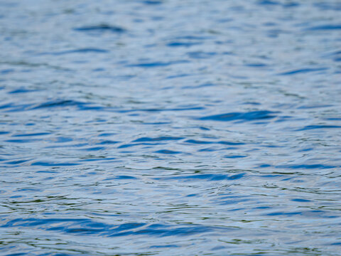 Abstract background of blue river or lake water surface with beautiful small waves and gentle ripples. Natural clean liquid texture with copy space. Perfect for summer travel or ecological concepts