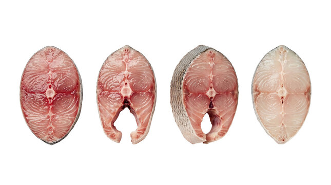 Fresh raw fish steaks arranged in a horizontal row isolated on a white background PNG on white background